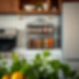 Stylish spice rack on a kitchen wall