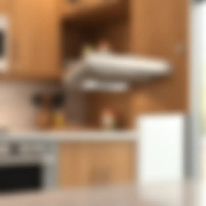 Installation Guide for Under Cabinet Can Opener Illustration of installation process for under cabinet can opener