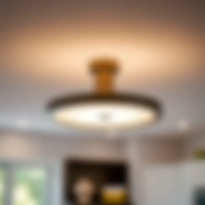 Sleek flush mount ceiling light in a contemporary space