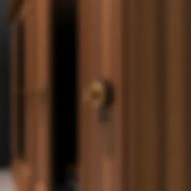 Close-up of the locking mechanism and security features in armoire