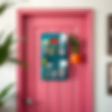 Stylish overdoor organizer with vibrant colors