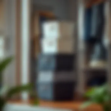 Stylish Stackable Bins Stylish stackable bins for closets