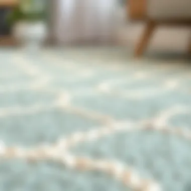 Mint Rug Texture and Patterns Close-up of mint rug texture and patterns suitable for child spaces
