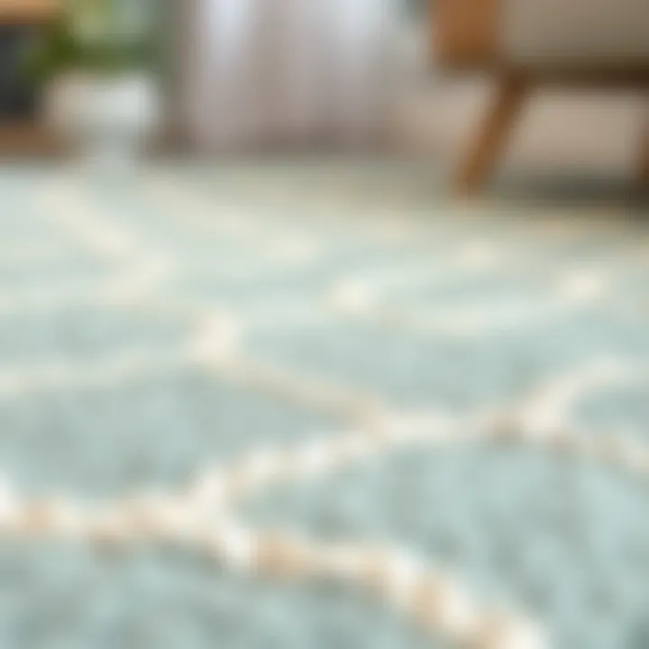 Mint Rug Texture and Patterns Close-up of mint rug texture and patterns suitable for child spaces
