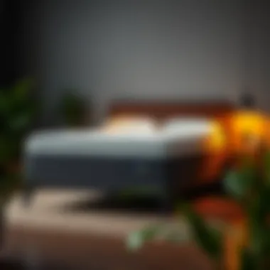 Comfortable bedroom setup featuring an optimal mattress.