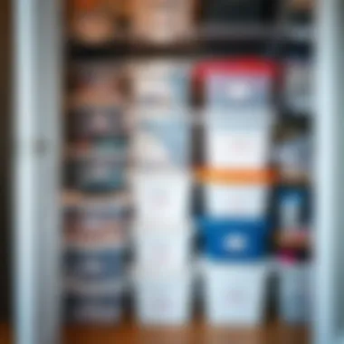 An organized closet featuring labeled plastic bins for easy access.