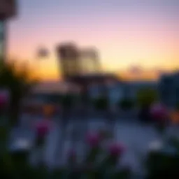 Elegant outdoor bar stool against a sunset backdrop