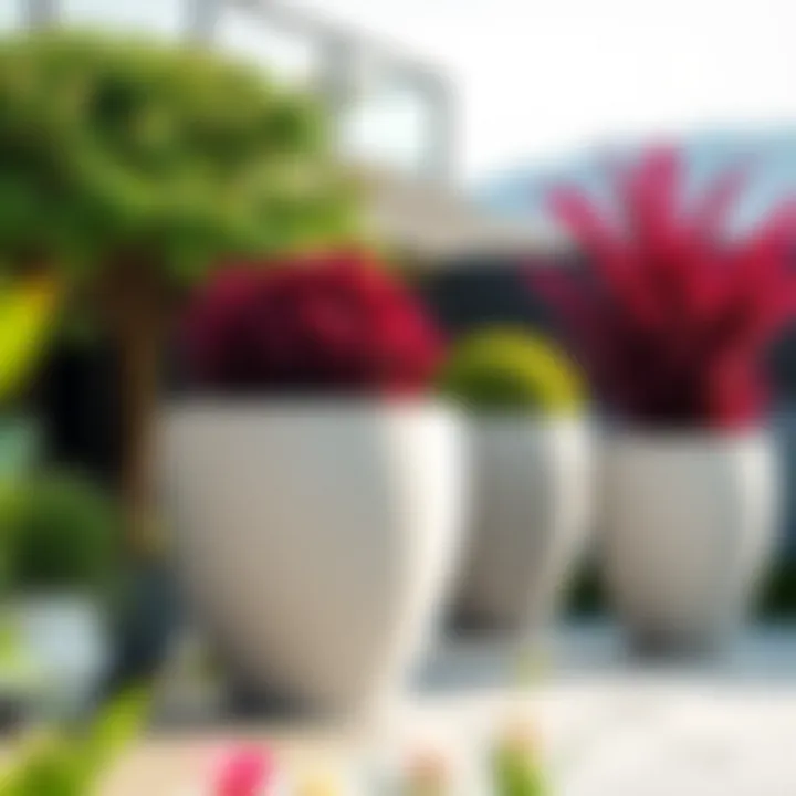 Giant Pots in an Outdoor Landscape Elegant outdoor setting featuring giant pots with vibrant plants