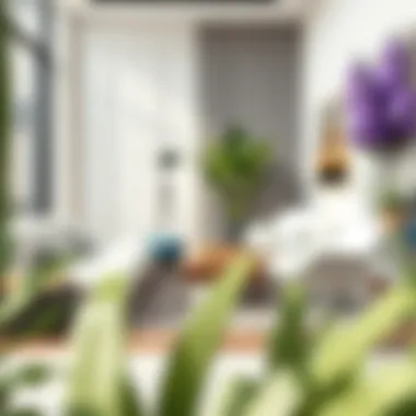 Versatile applications of lounge chairs in contemporary settings