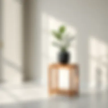 Elegant Minimalist Plant Stand Elegant rectangular wood plant stand in a minimalist setting