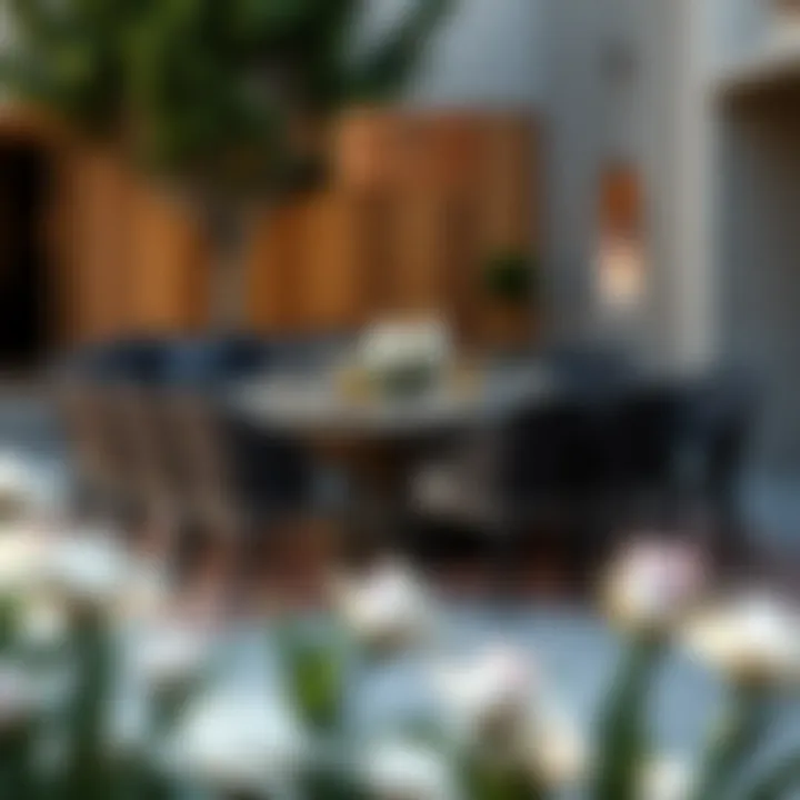 Stylish outdoor dining table set