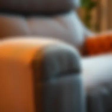 Luxurious Fabric Texture on a Lady Recliner Close-up of luxurious fabric texture on a lady recliner