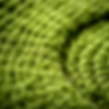 Close-up of textured round green outdoor rug material