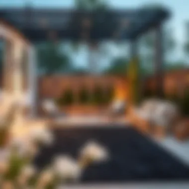 Elegant black outdoor rug enhancing a patio space