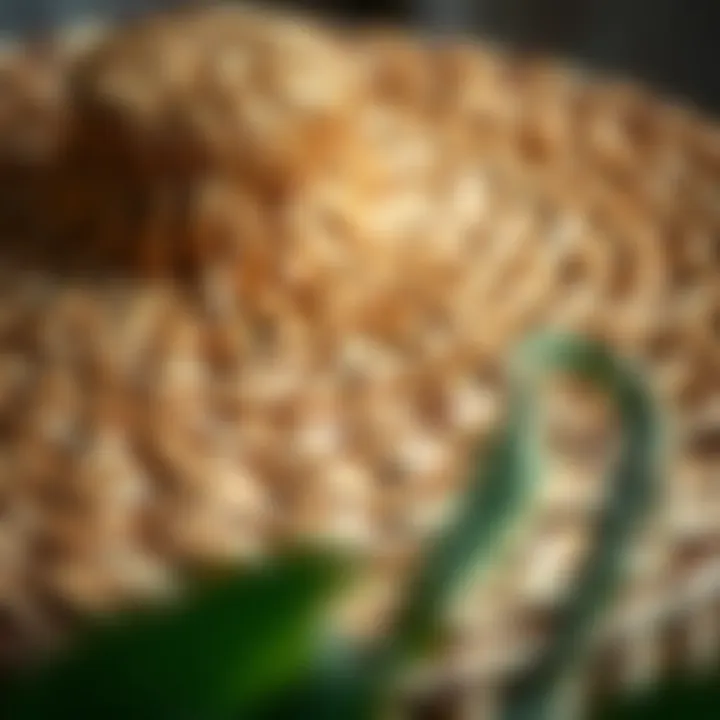 Close-up of a straw hamper lid showcasing intricate weaving