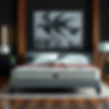 Standard dimensions of twin box springs displayed