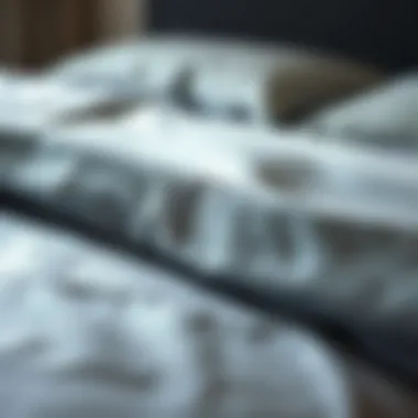 Close-Up of Fabric Texture in Split King Sheets Close-up of fabric texture in split king sheets