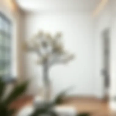 Elegant Minimalist Entryway Tree Elegant entryway tree in a minimalist home setting